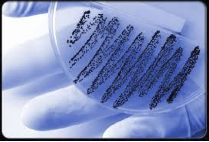 Are tampons any safer?